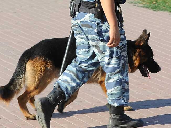 В Екатеринбурге нашли мëртвым пропавшего шестилетнего мальчика Далера Бобиева